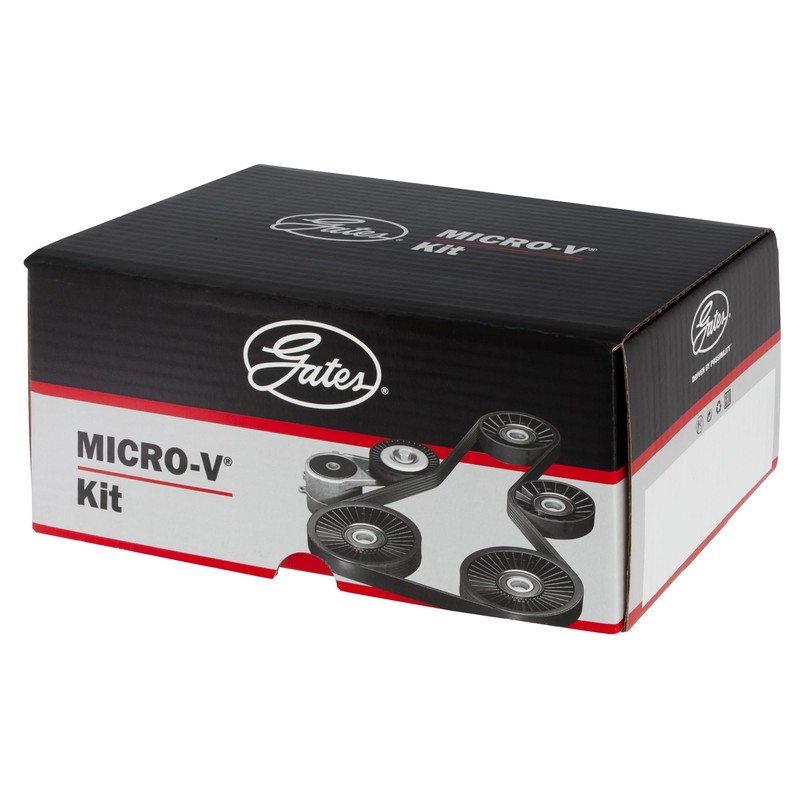Gates K025PK1133 Ribbed V-Belt Set