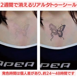 Jagua Tattoo Stickers 2 Weeks Disappearing Tattoo Set of 3 Tattoos Korean Butterfly Flower Snake Spider (C)