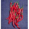 Pepper HOT Cayenne Long Slim Great Heirloom Vegetable by Seed Kingdom (100 Seeds)