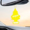 LITTLE TREES Car Air Freshener | Hanging Paper Tree for