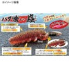 Rudie's Grouper Eater Bug 2.4in Moebi