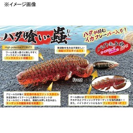 Rudie's Grouper Eater Bug 2.4in Moebi