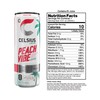 CELSIUS Sparkling Peach Vibe, Functional Essential Energy Drink, 12 Fl