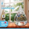 Tear Drop Shaped Galileo Thermometer with Five Floating Globes |