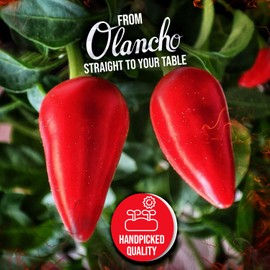 Jutiquile Chile Olanchano Rojo Pequeña / 4.5 oz/Red Hot Sauce Small 4.5 oz (18)