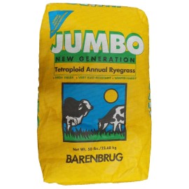 Jumbo Tetraploid Annual Rye grass Seeds - 25 Lbs.