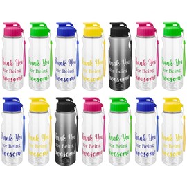 15 Pcs Water Bottles Bulk, 20 oz Reusable Clear Plastic Water Cups with Lids, Thank You for Being Awesome Water Bottle Bulk for School, Office, Sport, Gym, Family Gathering Gifts - 5 Colors