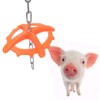 Plastic Hanging Piglet Pig Chew Toy