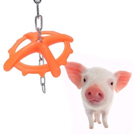 Plastic Hanging Piglet Pig Chew Toy