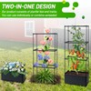 2 Packs Raised Garden Bed Tomato Planter Box with Trellis,