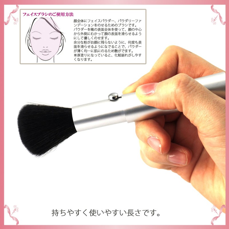 Shishida Seishindo Face Brush, Slide, Silver