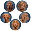 Magyar Vizsla Hungarian Shepherd Dog Portrait 5 Round Fridge Magnets
