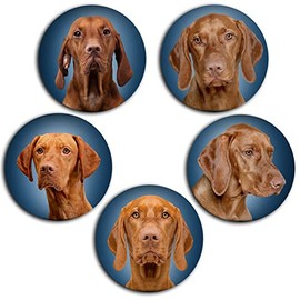 Magyar Vizsla Hungarian Shepherd Dog Portrait 5 Round Fridge Magnets for Memo Board Notice Board Magnetic Whiteboard [01]