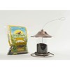 Wagner's 52023 Black Oil Sunflower Seed Wild Bird Food, 5-Pound
