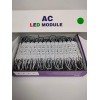 AMERICAN LED PRO AC LED MODULE COOL WHITE, LED WATERPROOF
