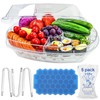 15 Inches Divided Serving Tray with Lid & Ice Tray,