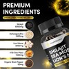 Sea Moss Shilajit Lion Mane 3 in One, with Added
