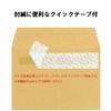 キングコーポレーション 封筒 窓付き 長形3号 テープ付 ブルー 100枚 N3SM80BQ
