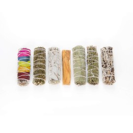 Ruda Eucalipus Bursera Graveolens Sage White with Pink Petals Set of 6