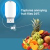 Zevo Fly Trap 1+1 Refill Plug-In UV Light Gnat &