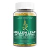 Mullein Gummies for Respiratory Wellness | 1000mg Per Serving |