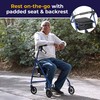 Drive Medical Aluminum Rollator Walker Fold Up and Removable Back