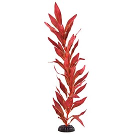 Underwater Treasures Silk Red Hygro - 20"