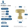 Banqin 20 Pack Gold Cabinet Knobs and Pulls - Round