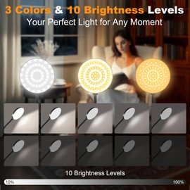 ZAPLIT 97 LED Akku Leselampe Bett –【3 Farbmodi & 10 Helligkeiten】 2000mAh Klemmlampe mit USB-C, 40cm Flexibler Schwanenhals, Buchlampe, Klemmleuchte für Schlafzimmer, Schreibtisch & Camping