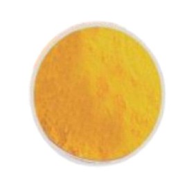 호박 추출 고급 분말 가루 100g Pumpkin Extract Premium Powder 100g