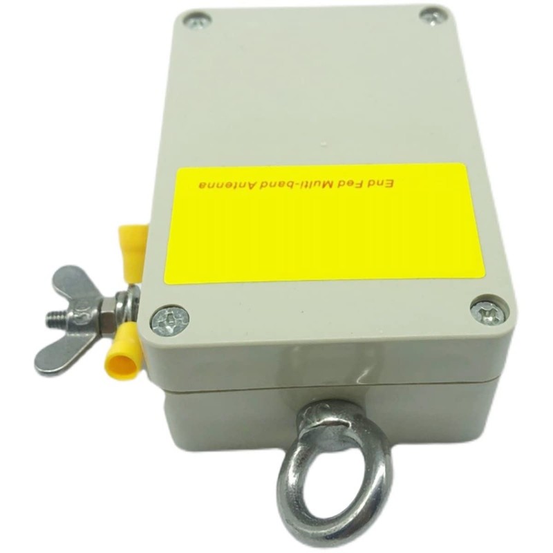 End Feed Antenna 49:1 Short Wave Antenna Balun Quad Band