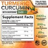 Turmeric Curcumin Supplement with BioPerine 95% Curcuminoids 2600mg with Black