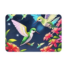 POEZJZW Hummingbird Night Sh Doormat, 16 "X 24" Front and Back Door Mat for Patio Entrance Garage Home Porch Decorating