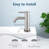 Aolemi Bathroom Faucet Single Hole,Single Handle Bathroom Sink Faucet with