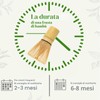 Alyvisun Set da 2 Fruste Matcha in Bambù con 76