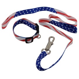 Duke's USA Patriotic American Military Memorial Labor Day Dog Collar and Leash Set