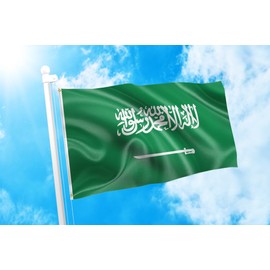 DMSE Saudi Arabia Arabian علم المملكة العربية السعودية Flag 3X5 Ft Foot 100% Polyester 100D Flag UV Resistant (3' X 5' Ft Foot)