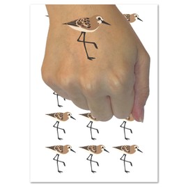 Sandpiper Bird Solid Temporary Tattoo Water Resistant Fake Body Art Set Collection - 54 1" Tattoos (1 Sheet)