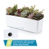 Skelang 2-Pack Self Watering Planter, Rectangle Flower Pot with Water