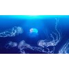 Jellyfish Floating Underwater Wall Mural. Deep Blue Ocean/Aquarium Theme Peel