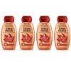 Garnier Ultra Soft Shampoo for Intensive Repair of Maple Wood