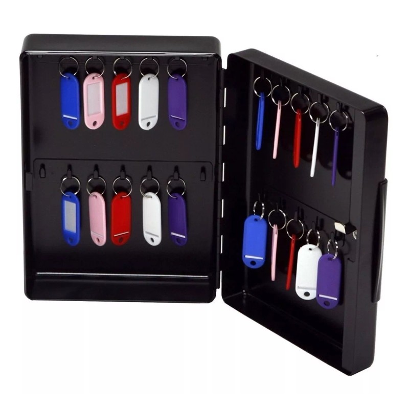 SentrySafe Sentry Safe Caja Para 25 Llaves Seguro Con Llave