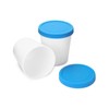 QWORK® Set of 2 Ice Cream Containers for Ice Cream