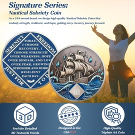 Braving The Storm 3 Year Sober Coin, Nautical NA Coin, Addiction Recovery Three Year Sober Chip, Celebrating Recovery Anniversary Token, Narcotics Anonymous Sobriety Gifts for Men Women