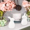 FHzytg Pack of 2 Easter Bunny Figures, Easter Bunny Ceramic