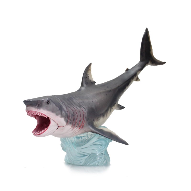 HAOLONGGOOD Otodus Megalodon