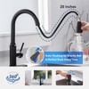 Matte Black Kitchen Faucet with Pull Down Spayer Arofa Single