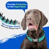 Toptakeit Pinch Prong Collar for Large Medium Small Dogs, Stainless