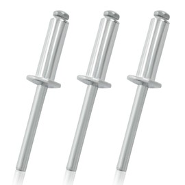 Zorveiio 100 Pcs 1/4" x 1" Aluminum Blind Rivets Dome Head Pop Rivets for Installing Accessories, Silver