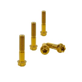 RISON-Titanium Titanium Screws M6 x 1.0 x 30 mm, Pack of 5 Flange Screws Torx Head Flange Screws Hex Screws Thread Screws GR5 Titanium Bolt Fixings for Motorcycles Bicycle Car